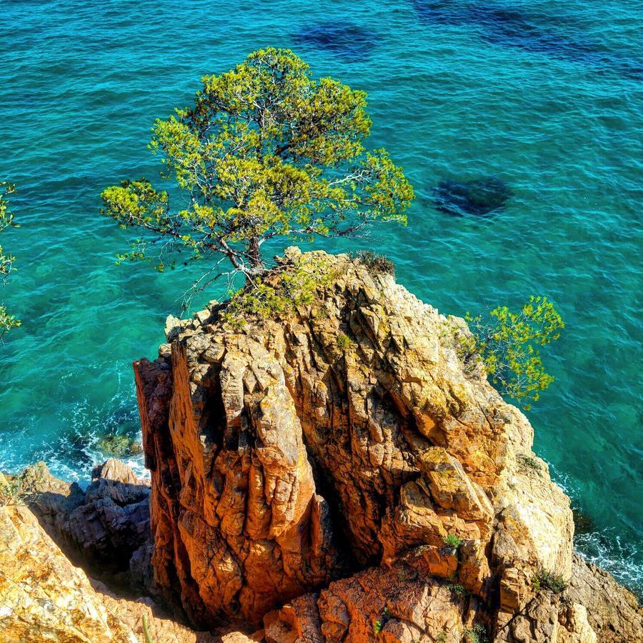 Rosamar Διαμέρισμα Santa Cristina d'Aro Εξωτερικό φωτογραφία