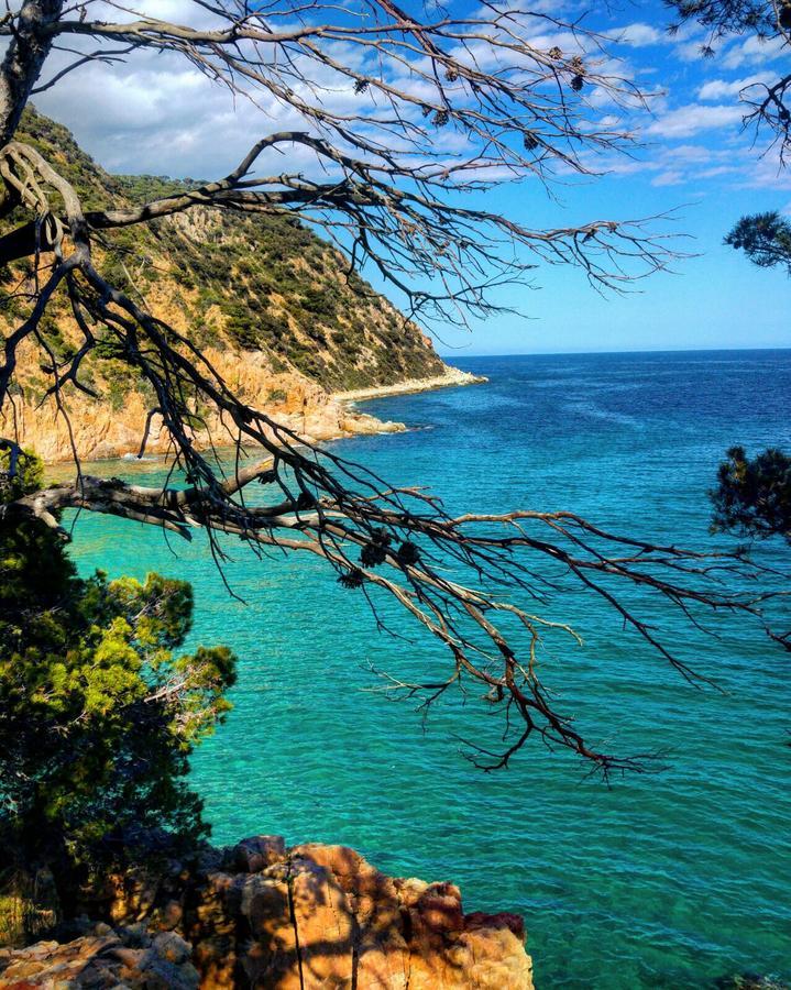 Rosamar Διαμέρισμα Santa Cristina d'Aro Εξωτερικό φωτογραφία